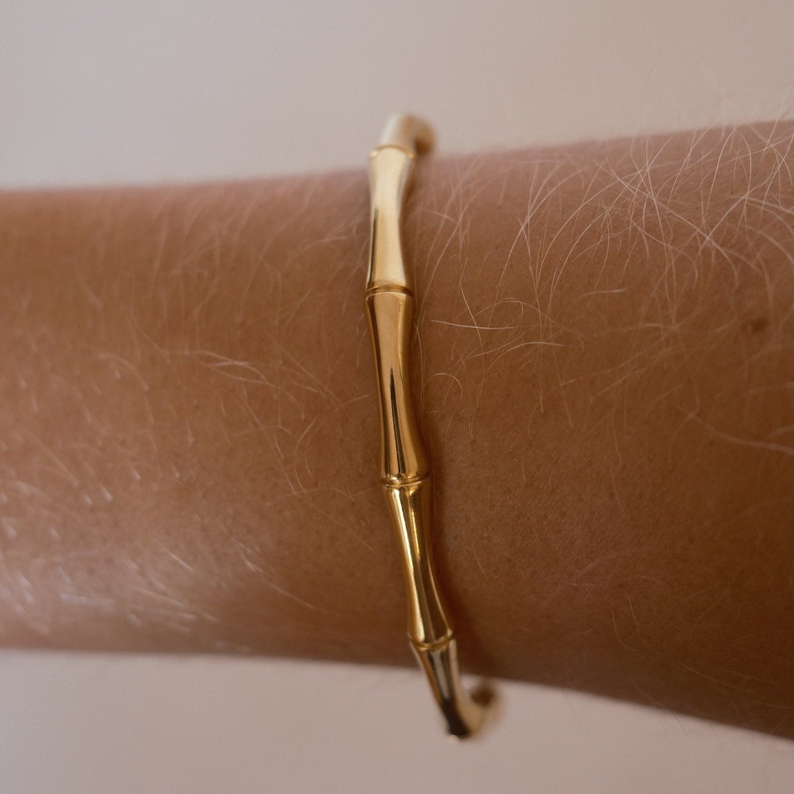Brazalete III